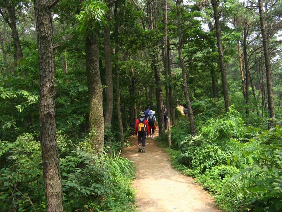 경기도옛길아카데미